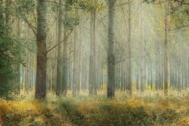 earth hour feature image