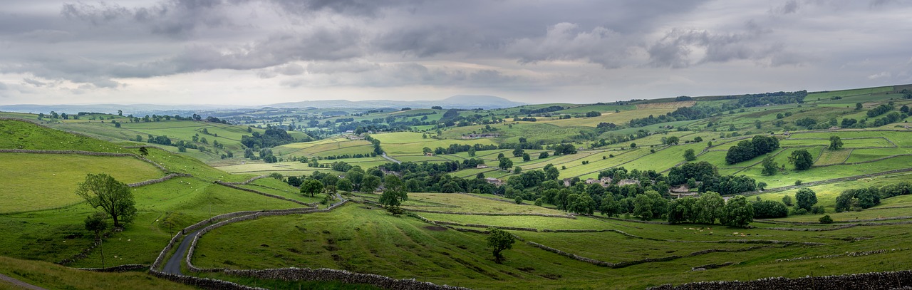 Yorkshire businesses