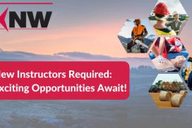 Instructor required for exciting projects